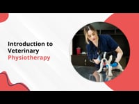 Fundamentals of Veterinary Physiotherapy