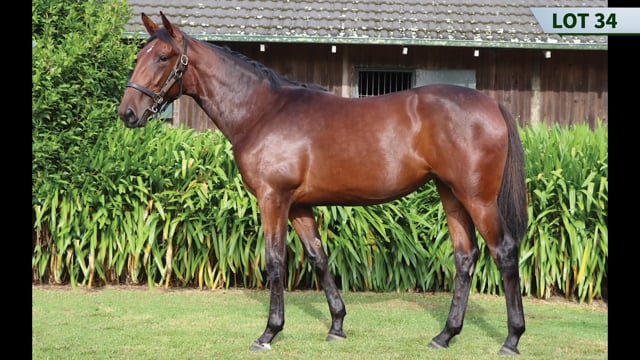 Lot 34