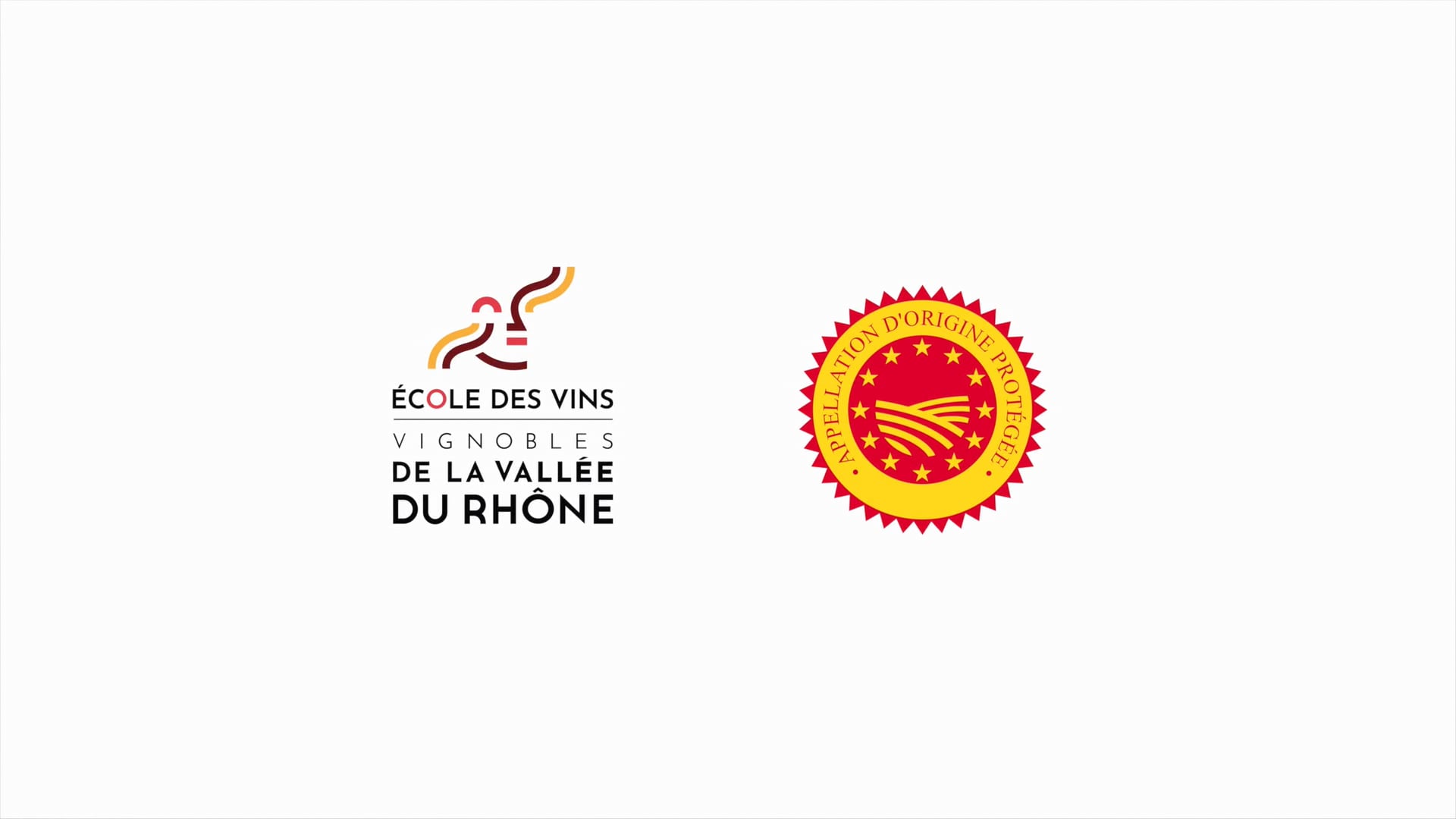 CARTOGRAPHIE 3D DES VIGNOBLES 60 APPELLATIONS DE LA VALLÉE DU RHÔNE RÉALISATION DRONIVITY / MAPPAVINI