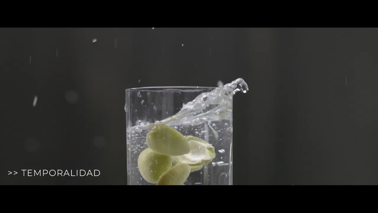 BIL_CAP_2_TEMPORALIDAD