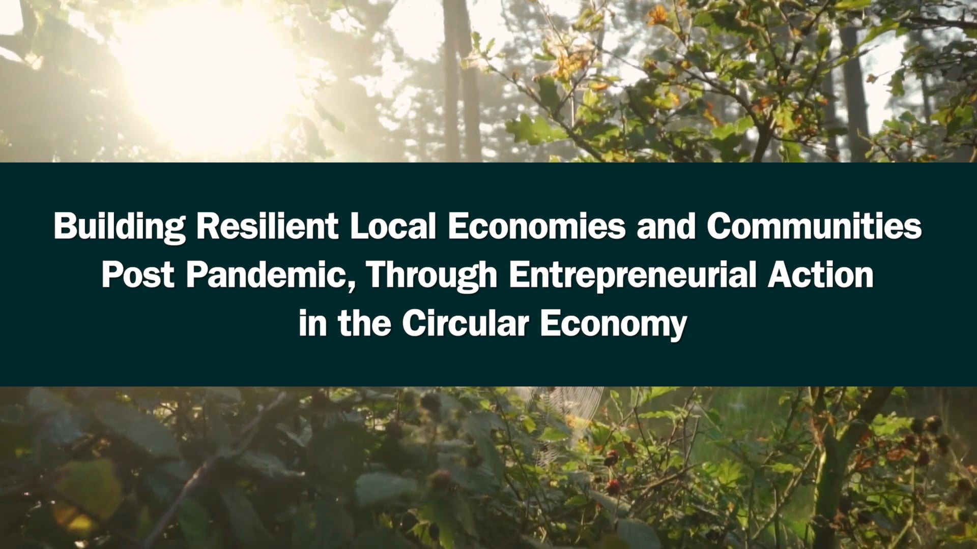 Building Resilient Local Economies and Communities, Post Pandemic, through Entrepreneurial Action in the Circular Economy