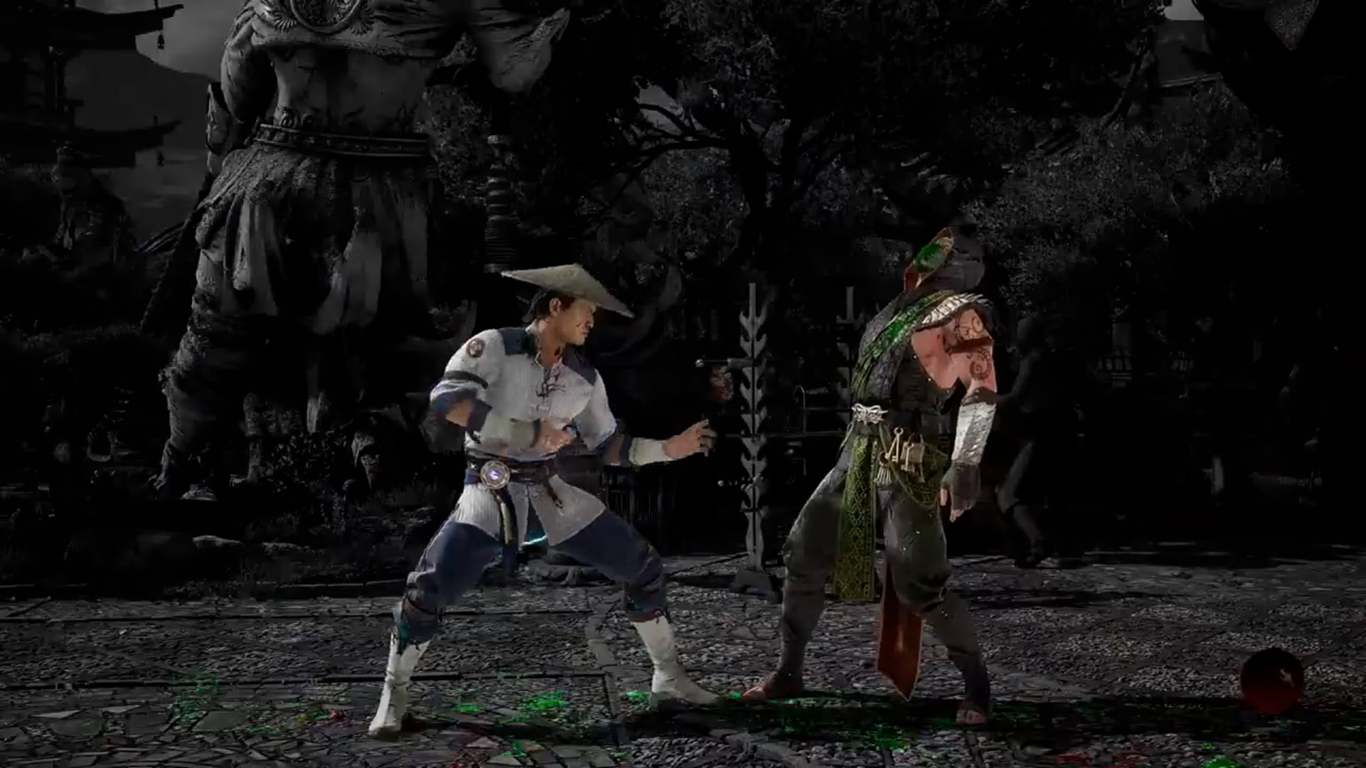 Raiden Fatality