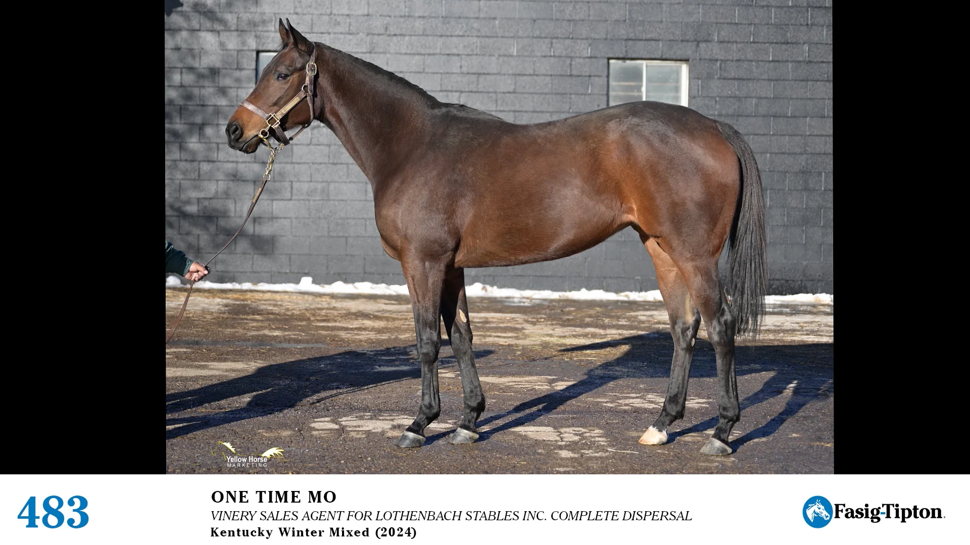 2024 FasigTipton Kentucky Winter Mixed Sale Hip 483 One Time Mo on Vimeo