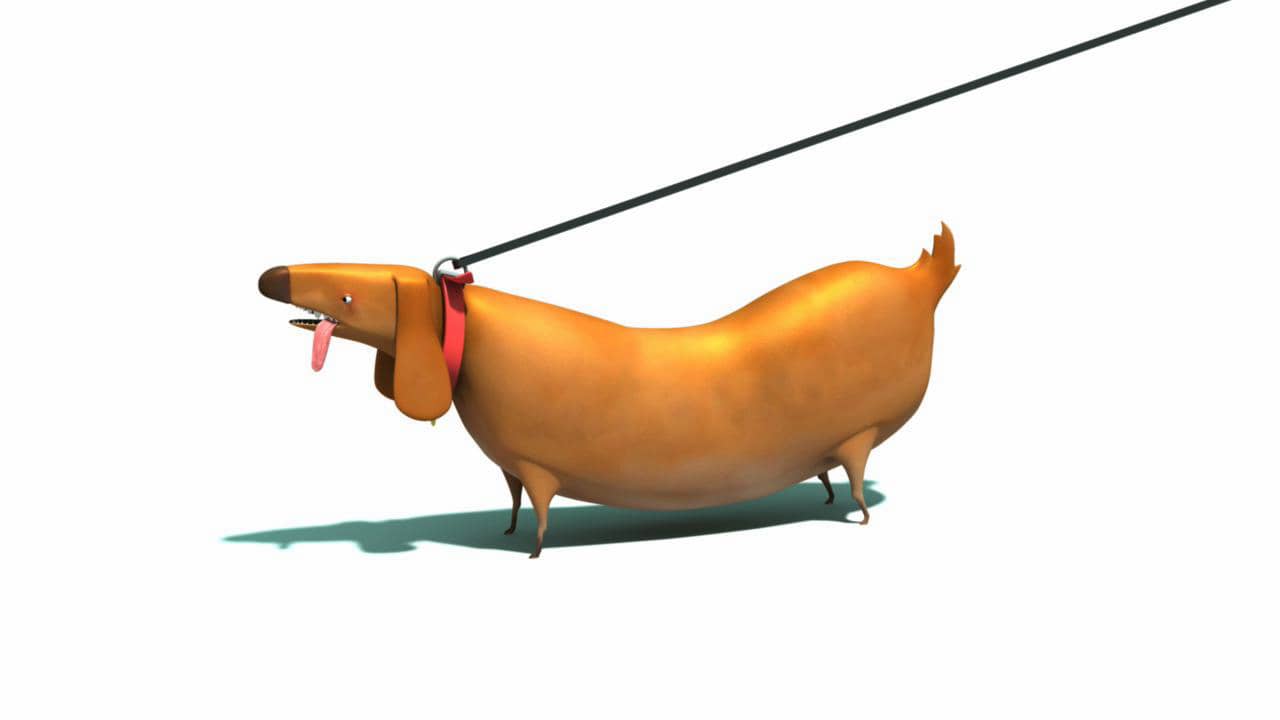 Fat sausage dog on Vimeo