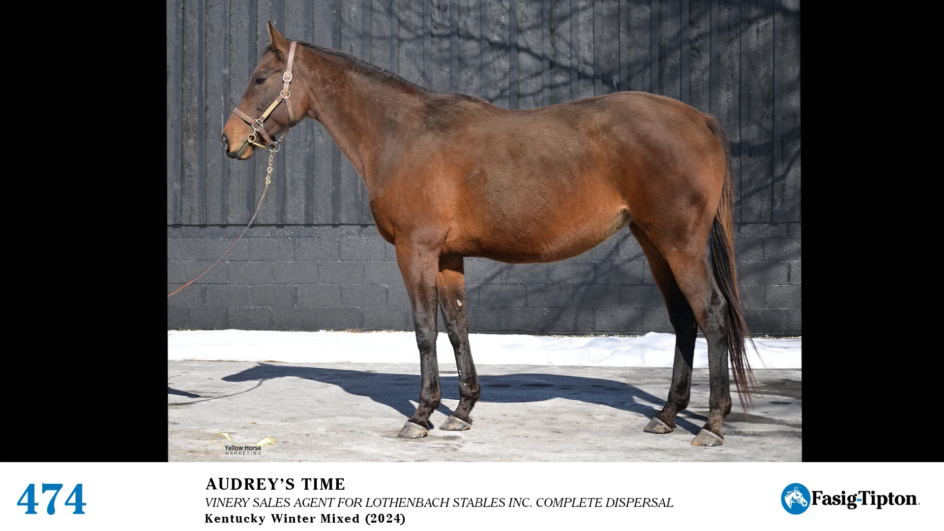 2024 FasigTipton Kentucky Winter Mixed Sale Hip 474 Audrey's Time