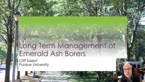 Long Term Emerald Ash Borer Management