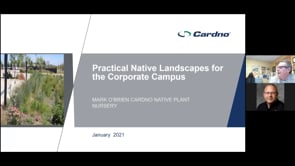 Practical Native Landscapes for the Corporate Campus