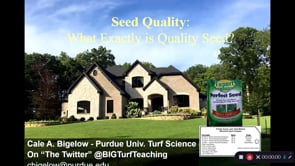 Seed Quality: What Exactly is Quality Seed