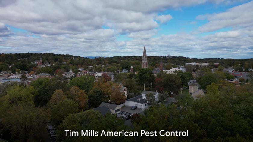vimeo-video-thumbnail
