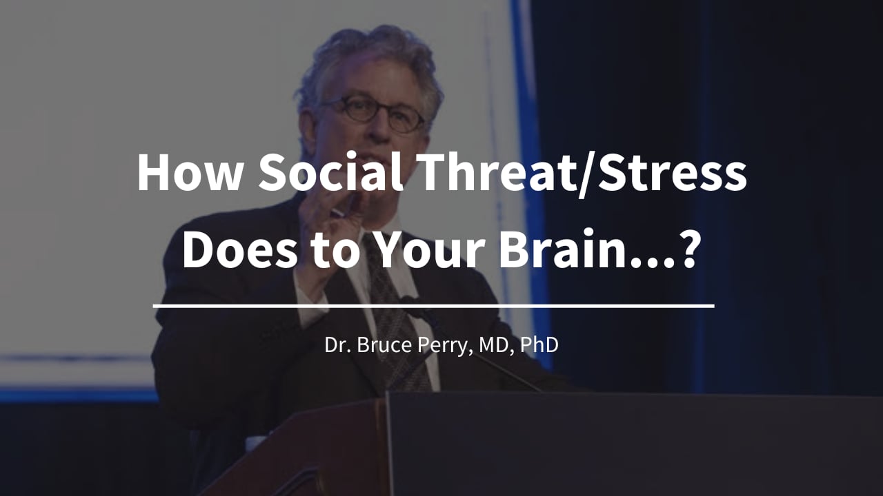 How Social Threat/Stress Does to Your Brain...? -World's Leading Mental Health & Trauma Clinician, Dr. Bruce Perry, MD, PhD
