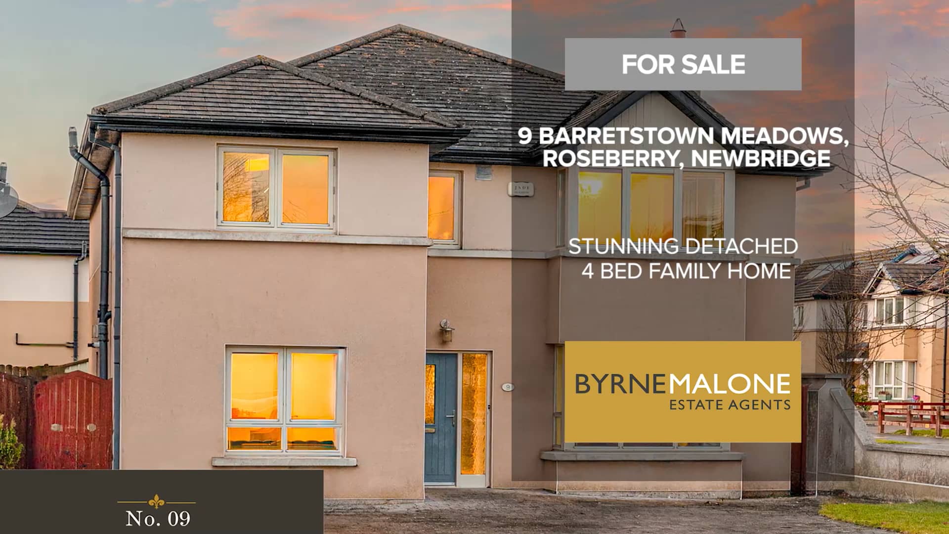 9 BARRETSTOWN MEADOWS, NEWBRIDGE on Vimeo