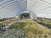 Sargent's - Recruitment