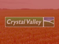 Crystal Valley - Recruitment
