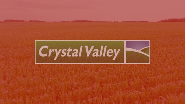 Crystal Valley Recruiting