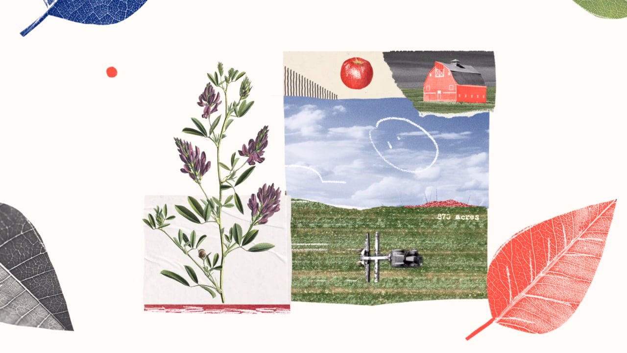Universe Creative | Wallace Foundation