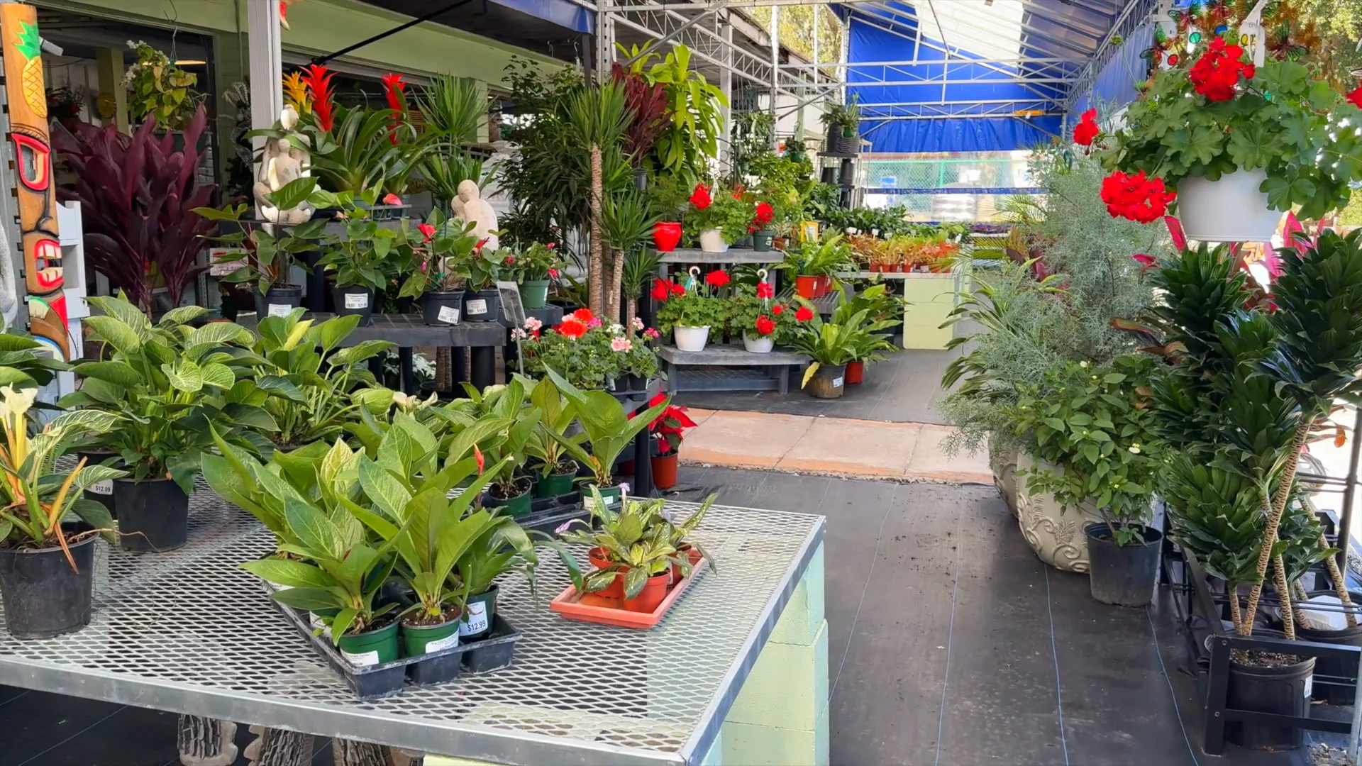 Big Garden Value Front Page Video - HD 1080p