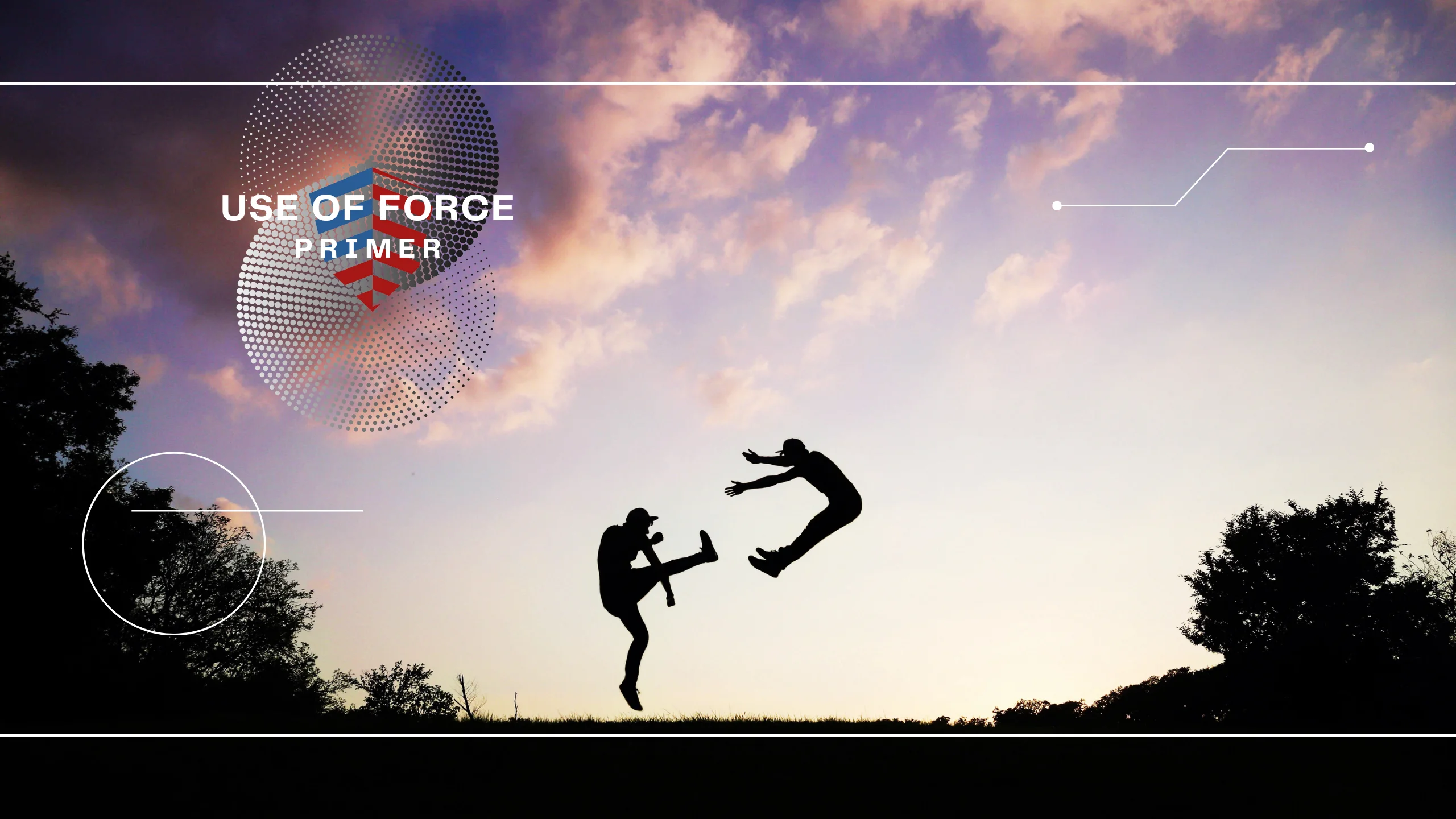 Use of Force Primer