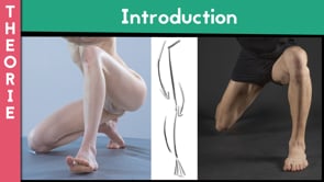 Base d'anatomie 3 - Jambes et pieds