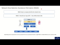Network Slice Selection Assistance Information (NSSAI)