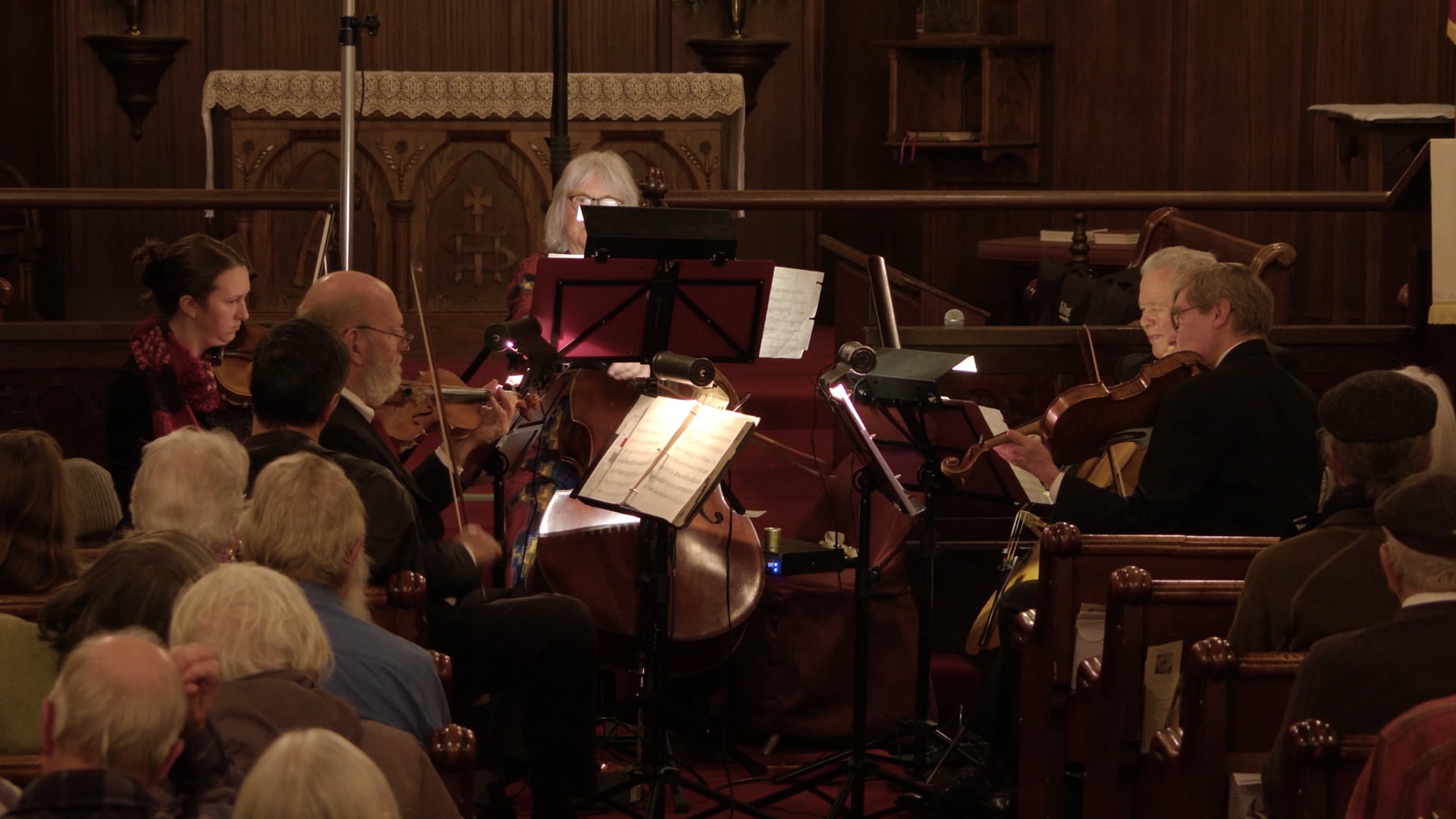 Promotional video thumbnail 3 for Millington Strings