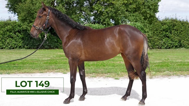 Lot 149