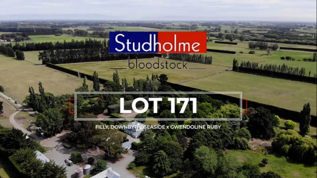 Lot 171