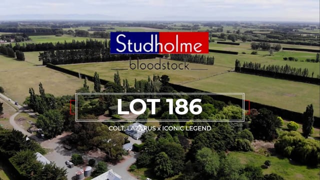 Lot 186