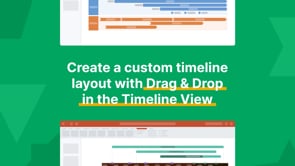 Create a custom timeline layout with Drag & Drop in the Timeline View | Office Timeline Fundamentals