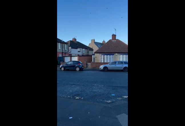 Video 1: