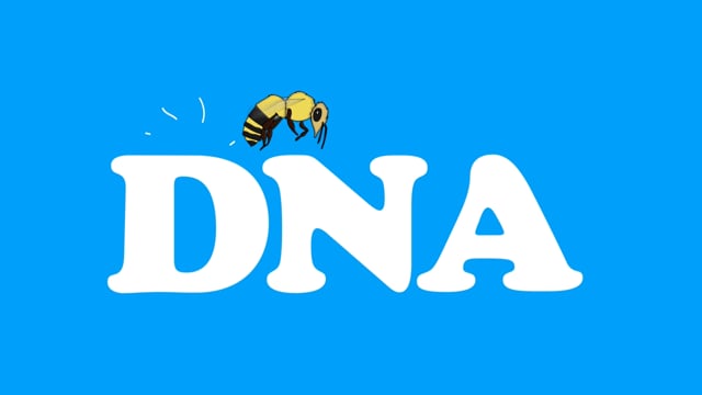 deVine Voices Native German Male Voiceover DNA Explainer