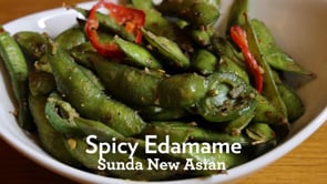 Related Embedded Video Item Thumbnail