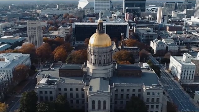 
Georgia Legislative Black Caucus
