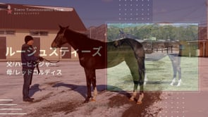 動画サムネイル