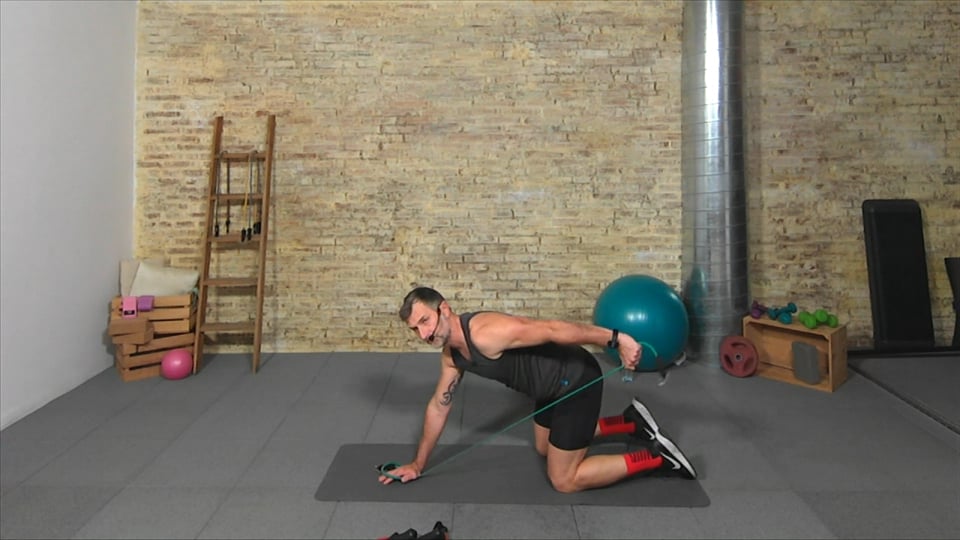 Agonista/antagonista