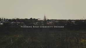 Pickering Road Community Orchard - Petals
