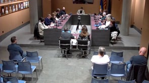 Primer ple ordinari de 2024, un pur tràmit