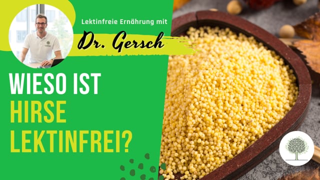 Wieso Hirse lektinfrei ist?