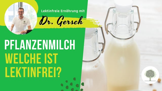  Welche Pflanzenmilch ist auf lektinfreier Ernährung erlaubt? 