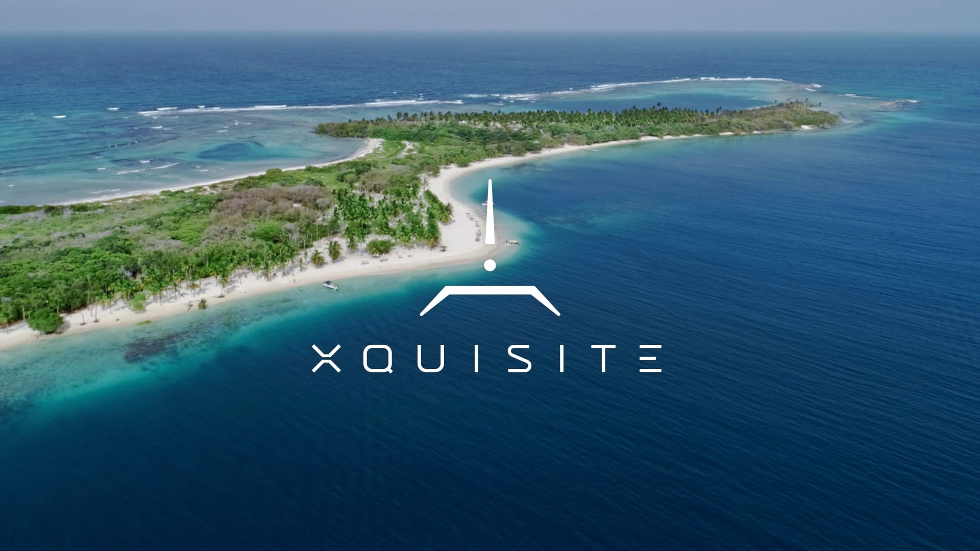 XQUISITE - 40 Power Cat - 3D video