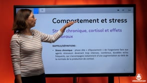 video : stress-chronique-cortisol-et-effets-cerebraux-4030