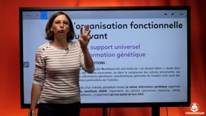 video : ladn-support-universel-de-linformation-genetique-4031