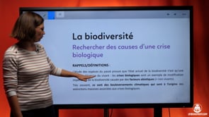 video : rechercher-des-causes-dune-crise-biologique-4034