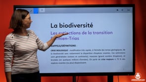 video : les-extinctions-de-la-transition-permien-trias-4033