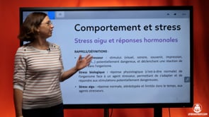 video : stress-aigu-et-reponses-hormonales-4029