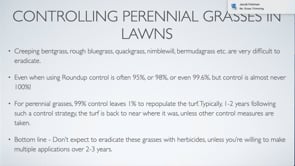 Bentgrass and Poa trivialis Control in Lawns