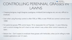 Bentgrass and Poa trivialis Control in Lawns