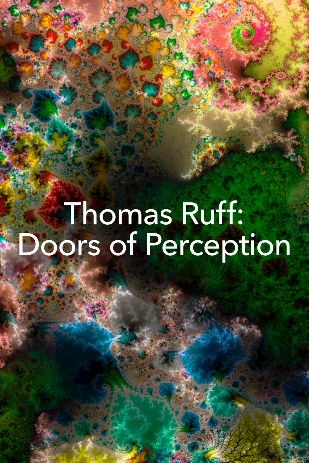 Thomas Ruff: The Doors of Perception Prints | Online Viewing