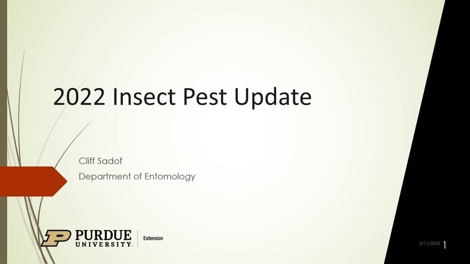 Insect Pest Update