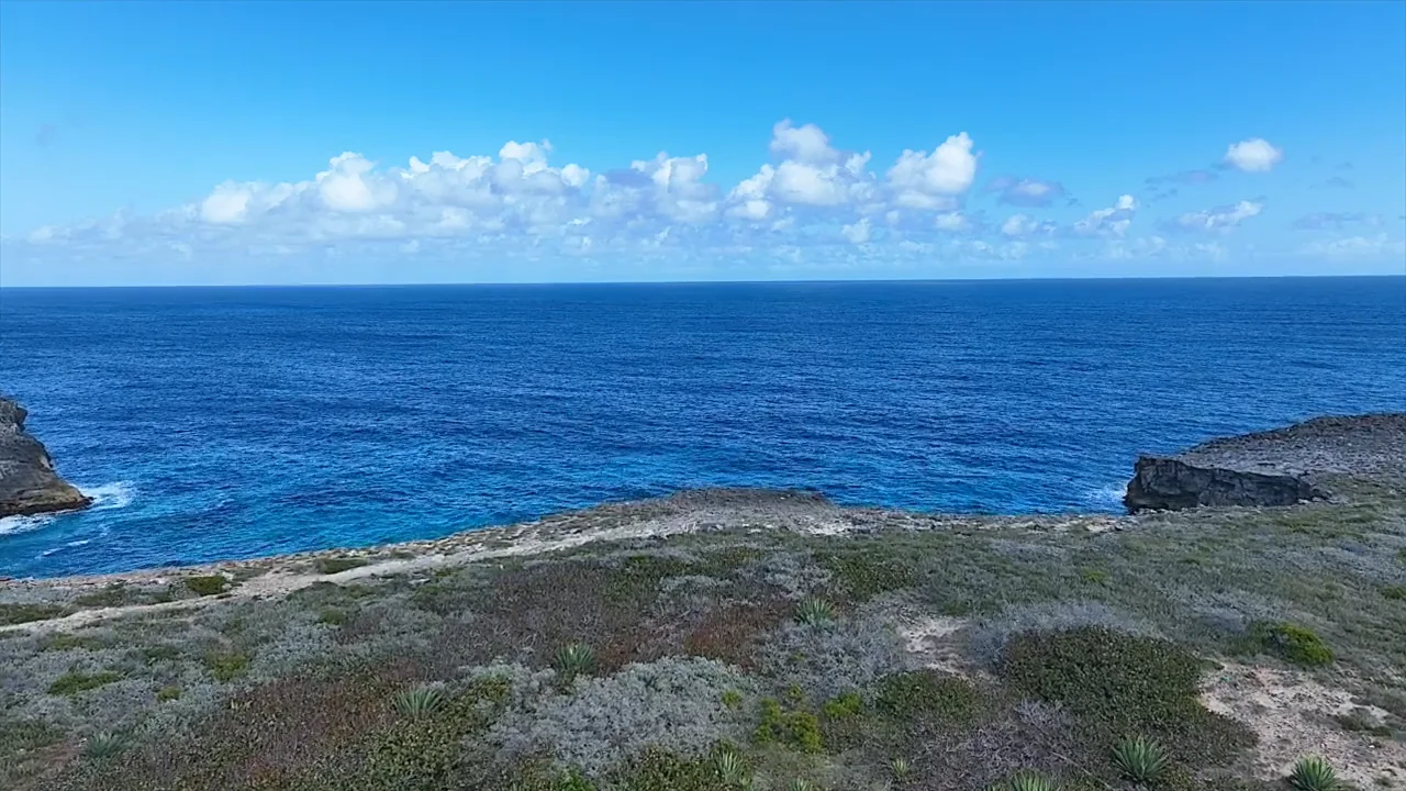 Lot 156 Whale Point 4K Video on Vimeo