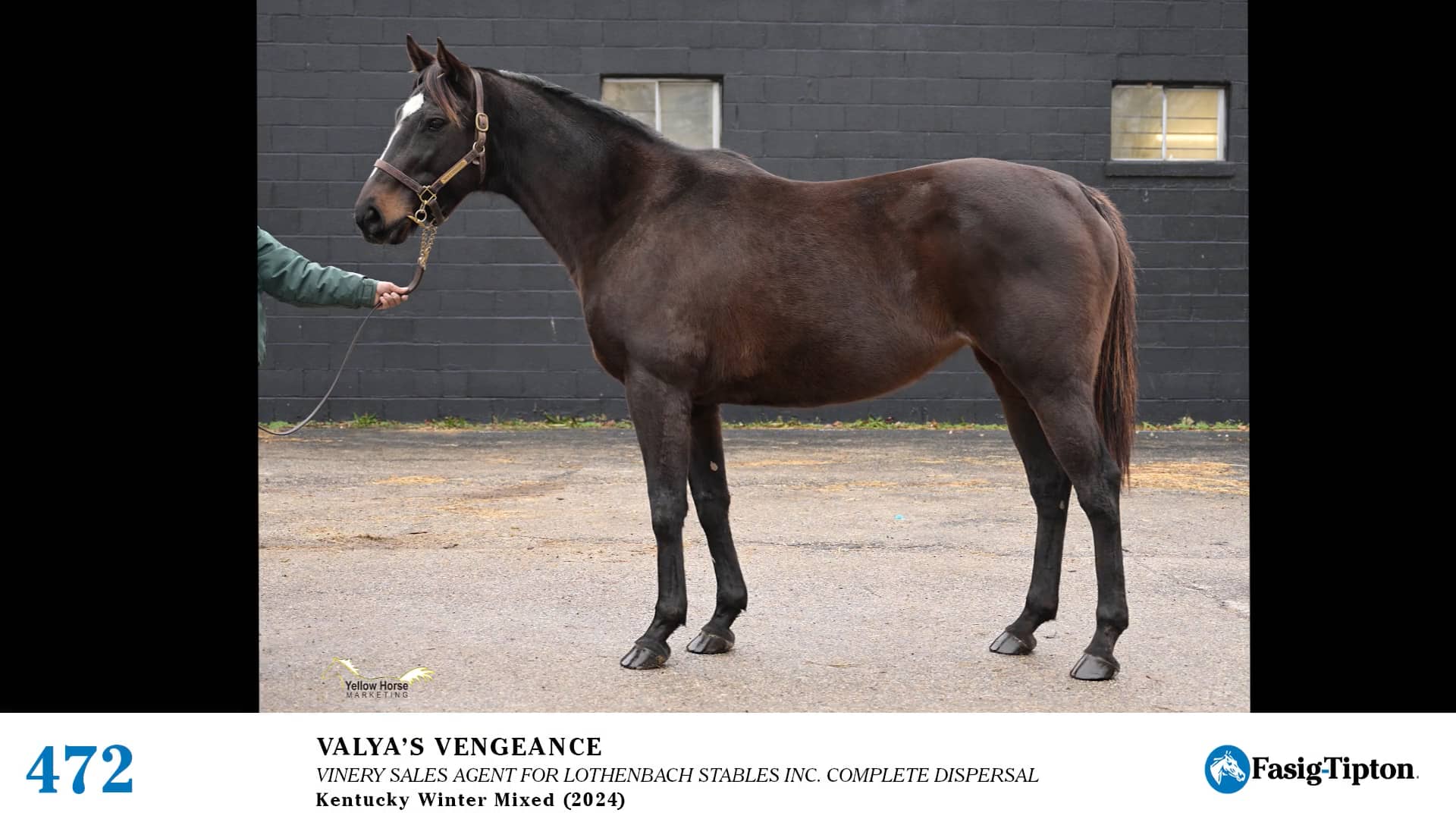 2024 FasigTipton Kentucky Winter Mixed Sale Hip 472 Valya's